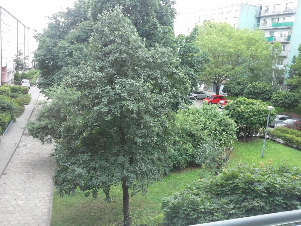3030 Jana Spychalskiego 32 - Tanie Pokoje W Apartamencie - Samodzielne Zameldowanie - Self Check In Poznań Exterior foto
